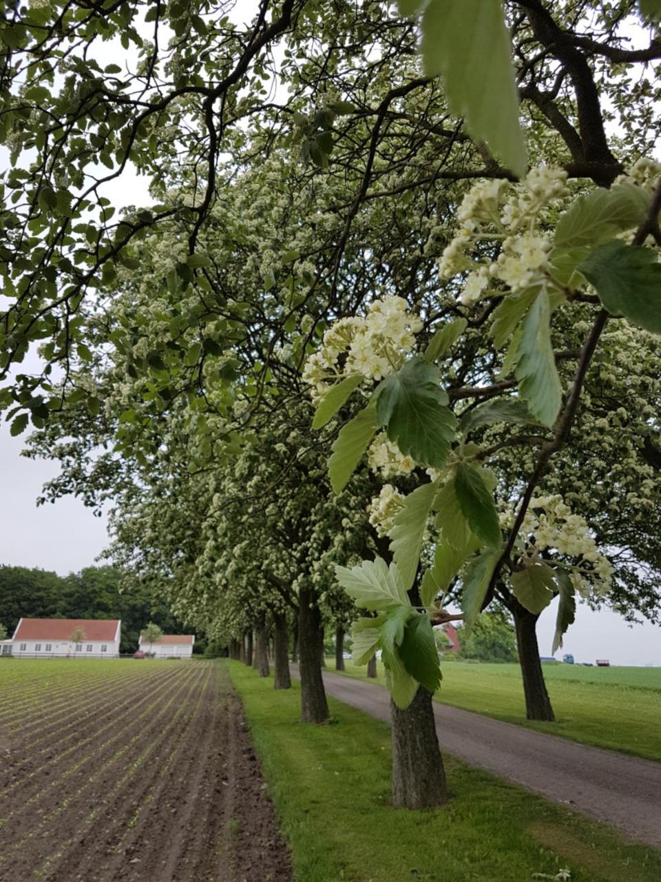 Wirketorp Countryside Hotel Kävlinge 외부 사진